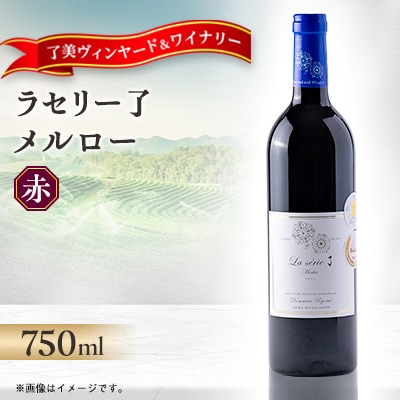 自社葡萄を使用した赤ワイン メルロー 750ml×1本