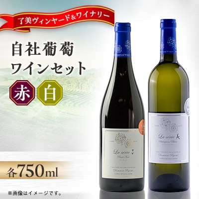 自社葡萄を使用したワイン2本セット  ピノノワール・ソーヴィニヨンブラン　750ml×各1本