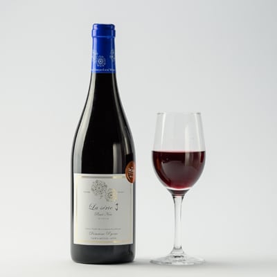 自社葡萄を使用したワイン2本セット  ピノノワール・ソーヴィニヨンブラン　750ml×各1本