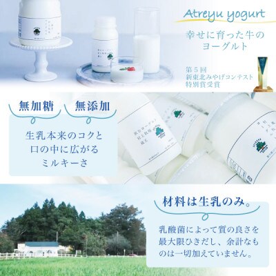【新鮮な生乳のみ使用】無加糖プレーンヨーグルト450g×3個セット 蔵王村上牧場直送 アトレイユ