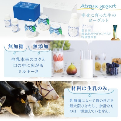 【蔵王村上牧場ブルーギフト】無加糖プレーンヨーグルト2個&飲むヨーグルト4本×2セット アトレイユ