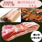 宮城県産【カテキン豚】豚バラブロック1kg