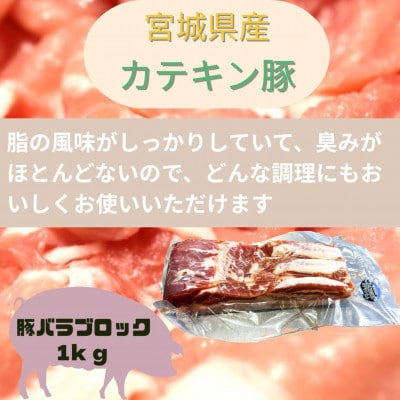 宮城県産【カテキン豚】豚バラブロック1kg