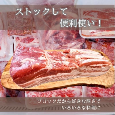 宮城県産【カテキン豚】豚バラブロック1kg