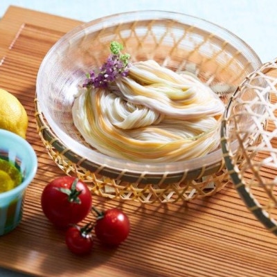 七彩そうめん 240g×20