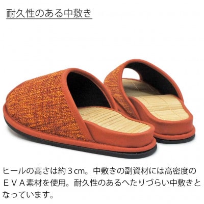 スリッパ　D型セノーテデコラ極　Mサイズ　レッド