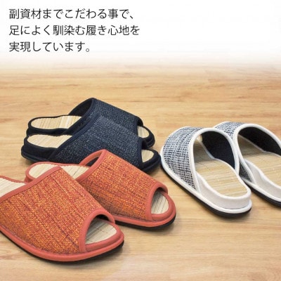 スリッパ　D型セノーテデコラ極　Mサイズ　レッド