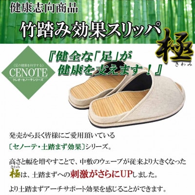 スリッパ Dセノーテロゼッタ極 Lサイズ ベージュ