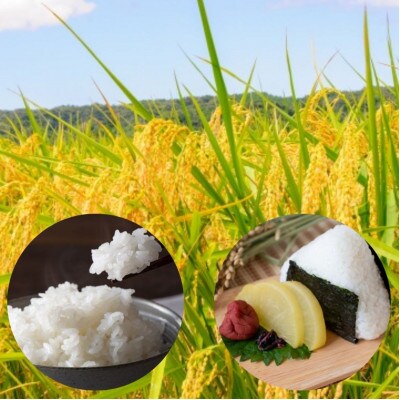 【令和8年産】宮城県産　ササニシキ 5kg