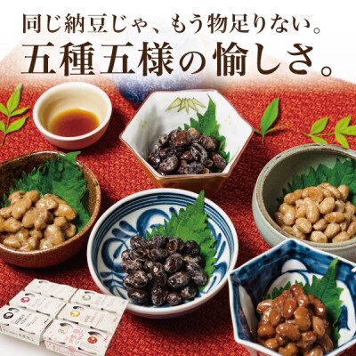 豆達人の五ッ星納豆6種食べ比べ1セット【大粒の国産大豆】宮城しろめ・秘伝豆・紅大豆・茶豆・光黒豆