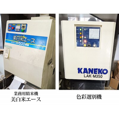 【ひとめぼれ】宮城県産 令和7年産 精米 5kg(5kg×1袋)