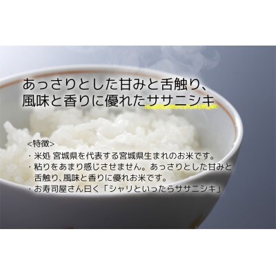 【ささにしき】宮城県産 令和7年産 精米 5kg(5kg×1袋)