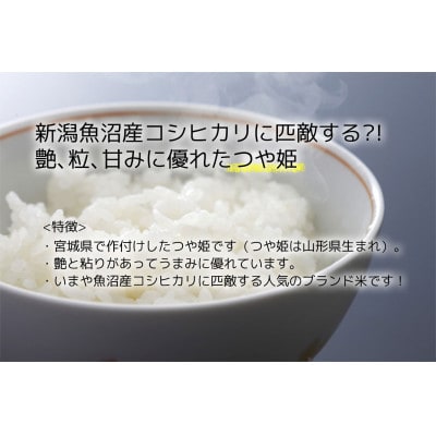 【つや姫】宮城県産 令和7年産 精米 5kg(5kg×1袋)
