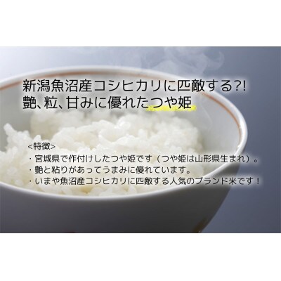【つや姫】宮城県産 令和7年産 精米 10kg(5kg×2袋)