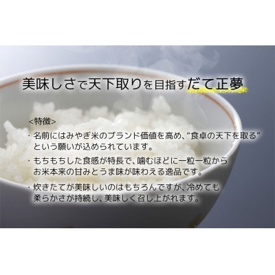 【だて正夢】宮城県産 令和7年産 精米 5kg(5kg×1袋)
