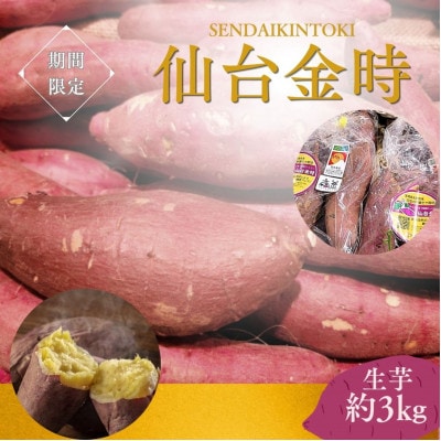 【宮城県産】仙台金時　さつまいも約3kg