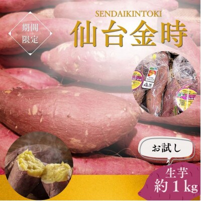【宮城県産】仙台金時　さつまいも約1kg