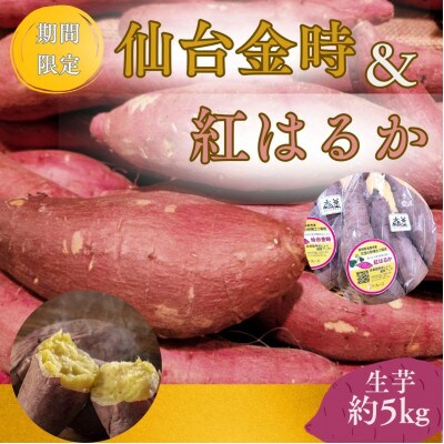 【宮城県産】仙台金時・紅はるか　さつまいも計約5kg