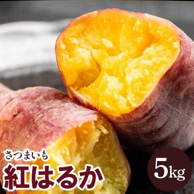 さつまいも 紅はるか5kg gr-0132