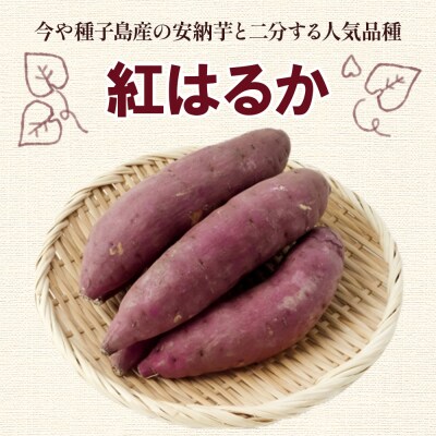 さつまいも 紅はるか5kg gr-0132