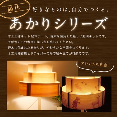 木工工作キット「陽林」 加賀谷木材 | 北海道津別町