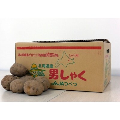 玉ねぎ 20kg 特別栽培/010-13054-b01B | お礼品詳細 | ふるさと納税
