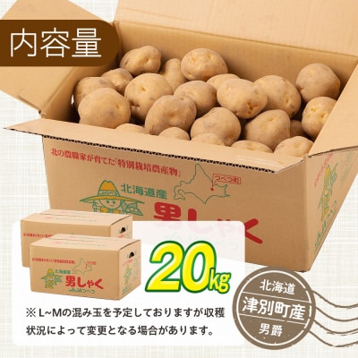 【先行受付】R8年産 特別栽培じゃがいも(男爵) 20kg | 北海道津別町