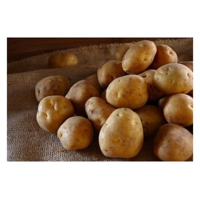 R7年産　じゃがいも　約10kg　男爵　ヤナセ農園/014-27094-b01D