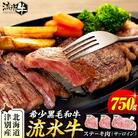 流氷牛ステーキ肉 750g (250g×3 サーロイン) | 北海道津別町