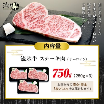 流氷牛ステーキ肉 750g (250g×3 サーロイン) | 北海道津別町