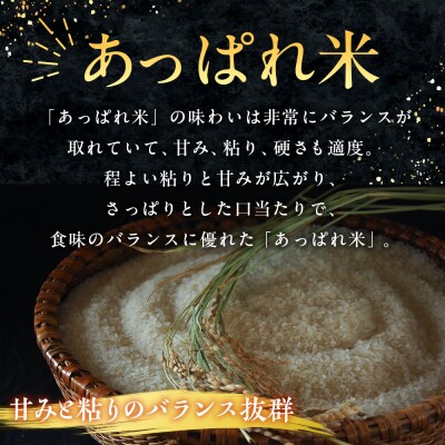 【令和8年産・先行受付】北海道産 津別町あっぱれ米(精米)10kg