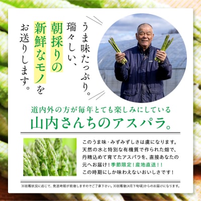 【先行受付】R8年産 アスパラガス 1kg 山内農園 | 北海道津別町