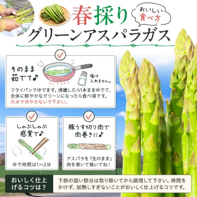 【先行受付】R8年産 アスパラガス 1kg 山内農園 | 北海道津別町
