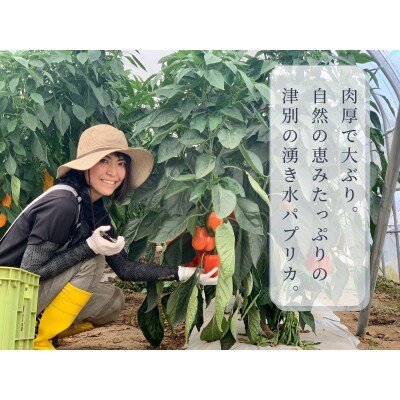 【R8年産】湧水栽培 ナツやさいのパプリカ 12玉〜15玉セット ピンクの八百屋〜ナツやさい