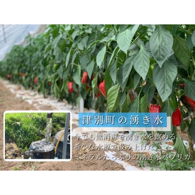 【R8年産】湧水栽培 ナツやさいのパプリカ 12玉〜15玉セット ピンクの八百屋〜ナツやさい