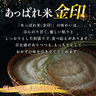 【令和8年産・先行受付】北海道産 津別町あっぱれ米(精米)金印 10kg
