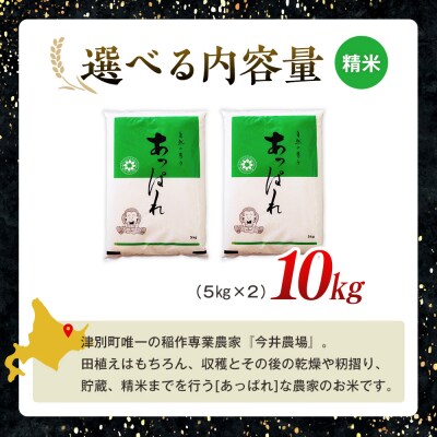 【令和8年産・先行受付】北海道産 津別町あっぱれ米(精米)金印 10kg