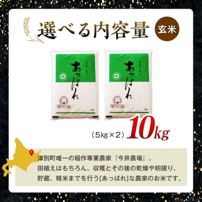 【令和8年産・先行受付】北海道産 津別町あっぱれ米(玄米)金印 10kg