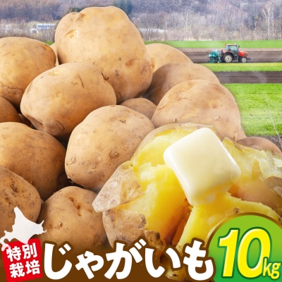 【先行受付】R8年産 特別栽培じゃがいも(男爵) 10kg | 北海道津別町