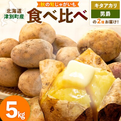 【先行予約】秋の旬 じゃがいも2種食べ比べ 5kg ピンクの八百屋〜ナツやさい〜  | 北海道津別町
