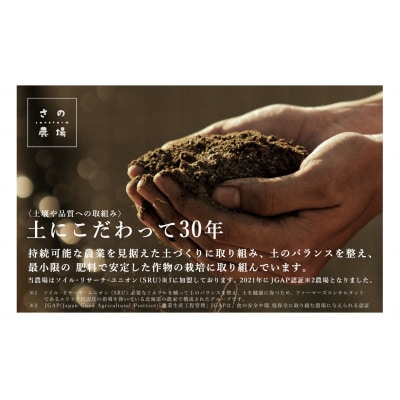 【R7年早期受付】秋の旬 じゃがいも2種食べ比べ 5kg ピンクの八百屋～ナツやさい～