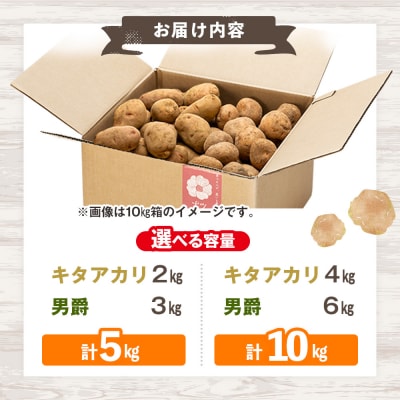 【先行予約】秋の旬 じゃがいも2種食べ比べ 5kg ピンクの八百屋〜ナツやさい〜  | 北海道津別町