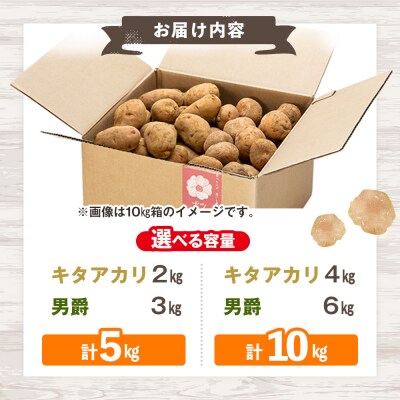 【先行予約】秋の旬 じゃがいも2種食べ比べ 5kg ピンクの八百屋〜ナツやさい〜  | 北海道津別町