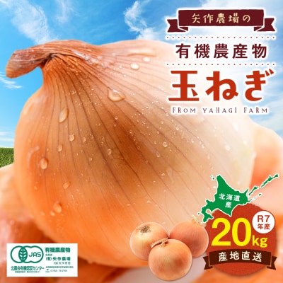 R7年産 有機農産物 玉ねぎ 20kg　(有)矢作農場 | 北海道津別町
