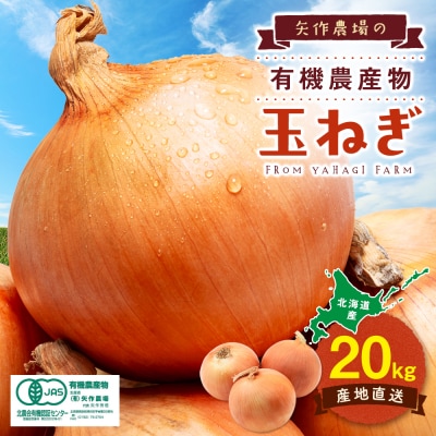 R8年産 有機農産物 玉ねぎ 20kg　(有)矢作農場 | 北海道津別町