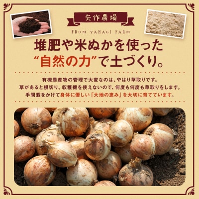 R8年産 有機農産物 玉ねぎ 20kg　(有)矢作農場 | 北海道津別町