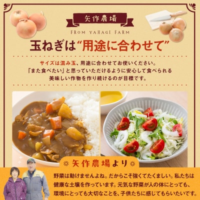 R8年産 有機農産物 玉ねぎ 20kg　(有)矢作農場 | 北海道津別町