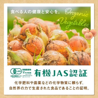 R8年産 有機農産物 玉ねぎ 20kg　(有)矢作農場 | 北海道津別町