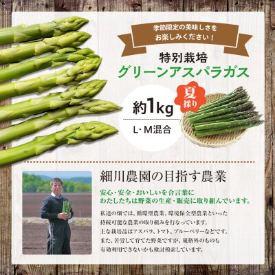 【R8年産】アスパラガス(夏採り)特別栽培　約1kg　細川農園/013-24200-b01C