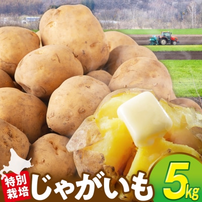 R7年産先行受付 じゃがいも 5kg 特別栽培(男爵) | 北海道津別町